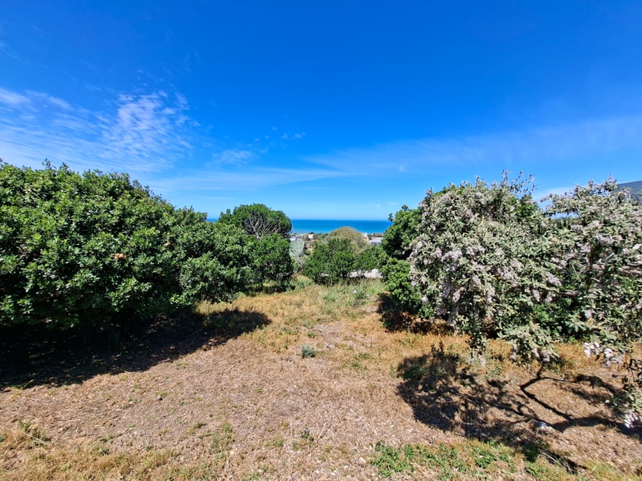 0 Bedroom Property for Sale in Tergniet Western Cape